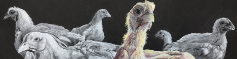 Bailey, Of a Different Breed, 2020 legacy prize winner