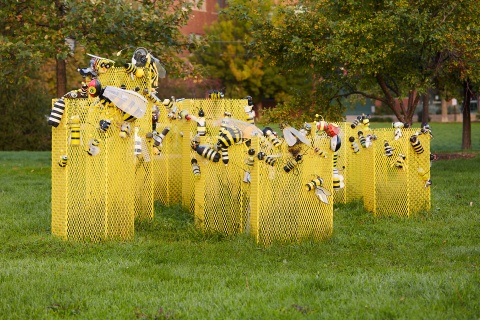 The Bee Project by Elena Smyrniotis (photo by Brendan Paul) The Bee Project by Elena Smyrniotis (photo by Brendan Paul)