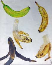 drawing of 5 bananas