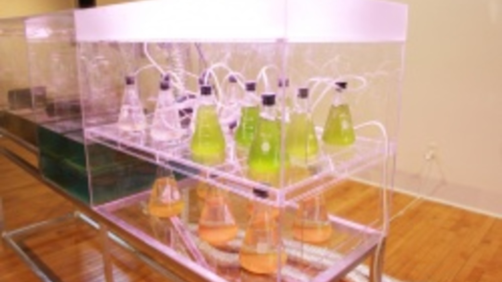 clear case with beakers filled with orange and green liquid